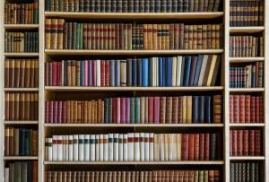 canstockphoto bookcase